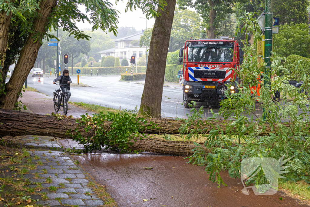 Boom belandt op provinciale weg