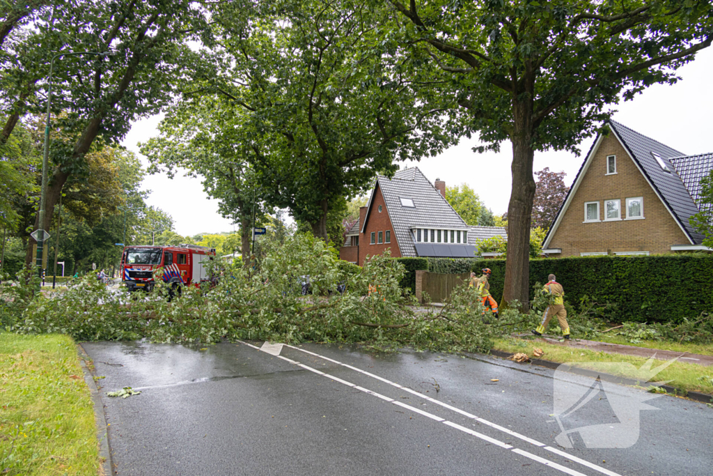 Boom belandt op provinciale weg