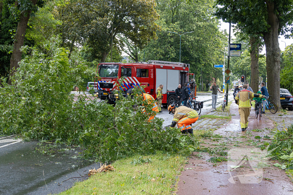 Boom belandt op provinciale weg