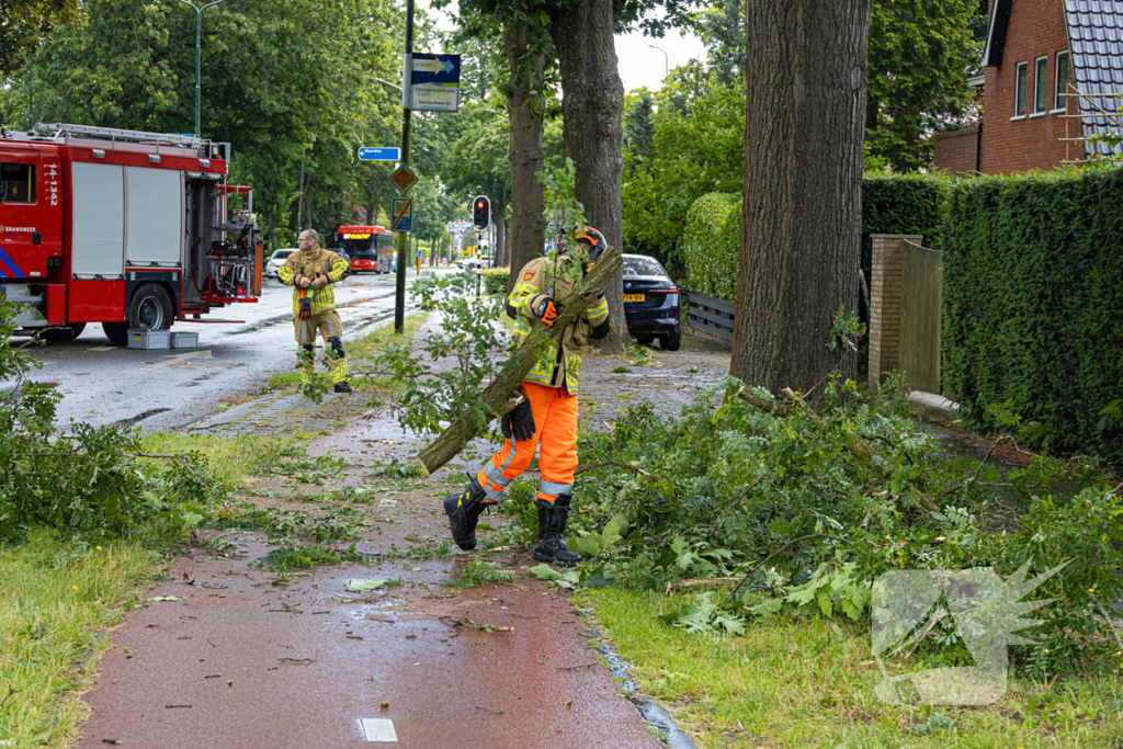 Boom belandt op provinciale weg