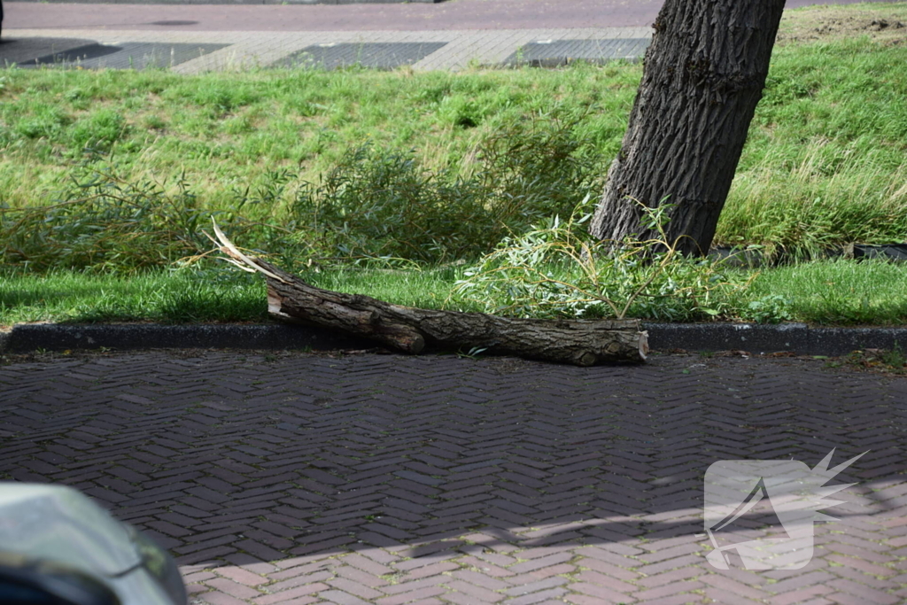 Brandweer verwijdert gevaarlijk hangende tak