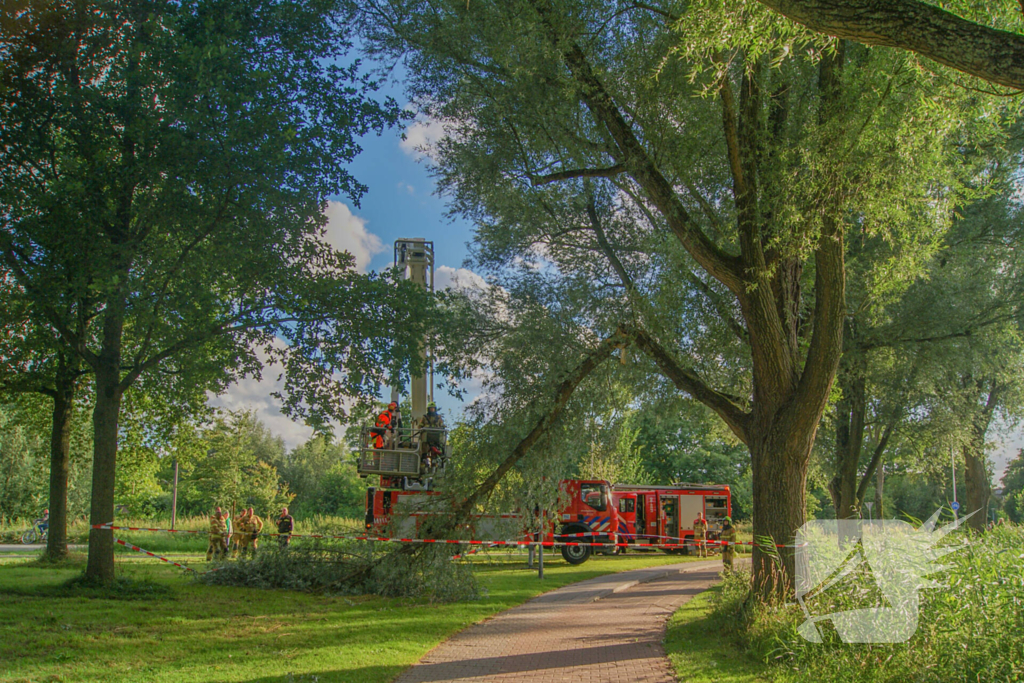 Brandweer verwijdert gevaarlijk hangende tak