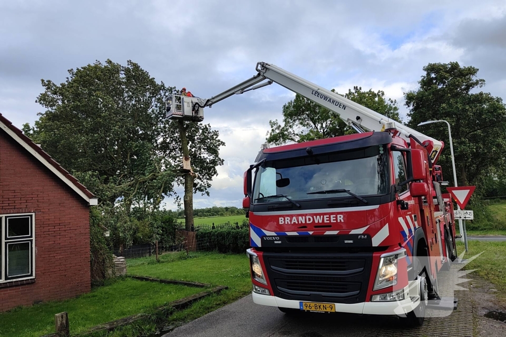 Brandweer verwijderd afgewaaide tak die op boerderij valt