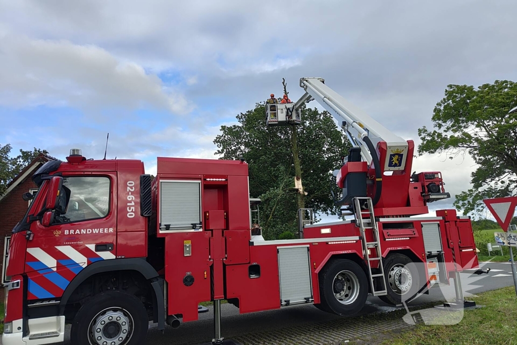 Brandweer verwijderd afgewaaide tak die op boerderij valt