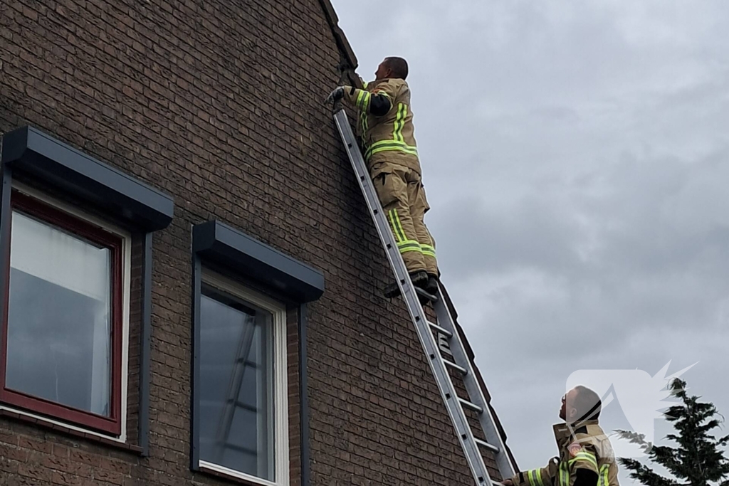 Brandweer helpt vastzittende zwaluw