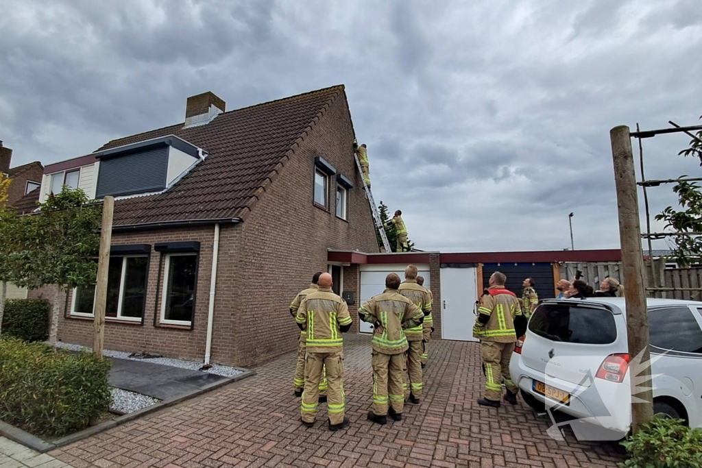 Brandweer helpt vastzittende zwaluw