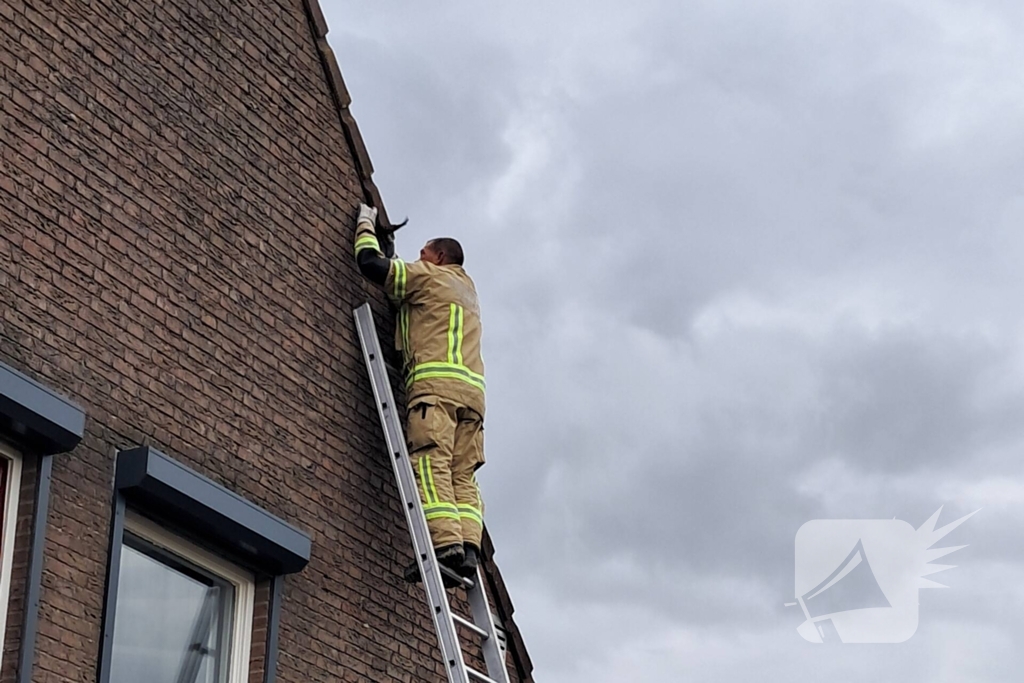 Brandweer helpt vastzittende zwaluw