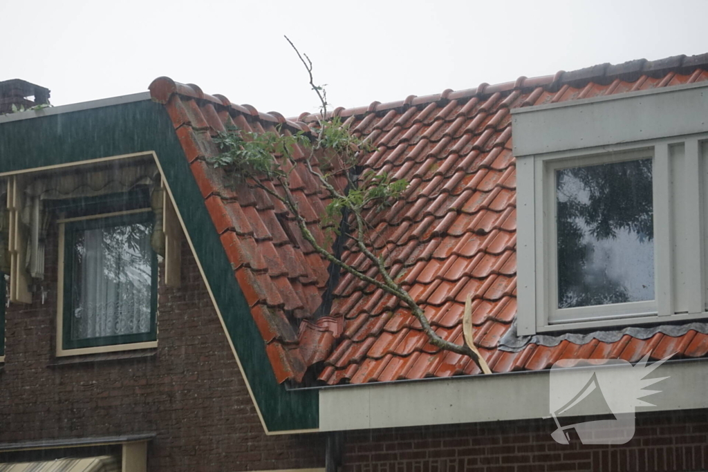 Meerdere takken blokkeren weg door harde wind