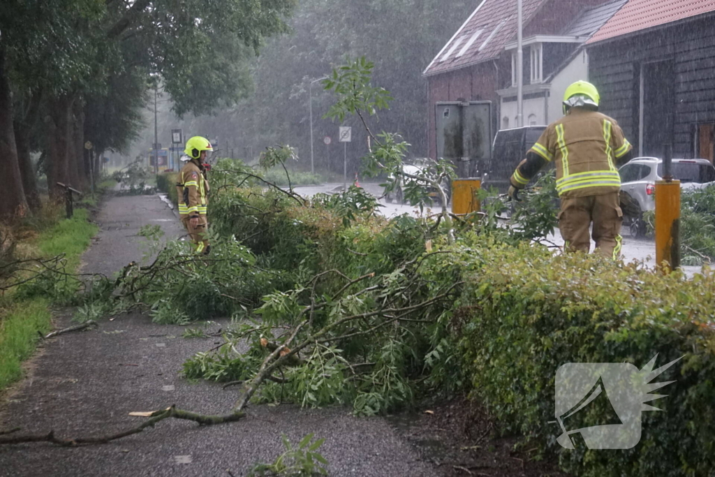 Meerdere takken blokkeren weg door harde wind