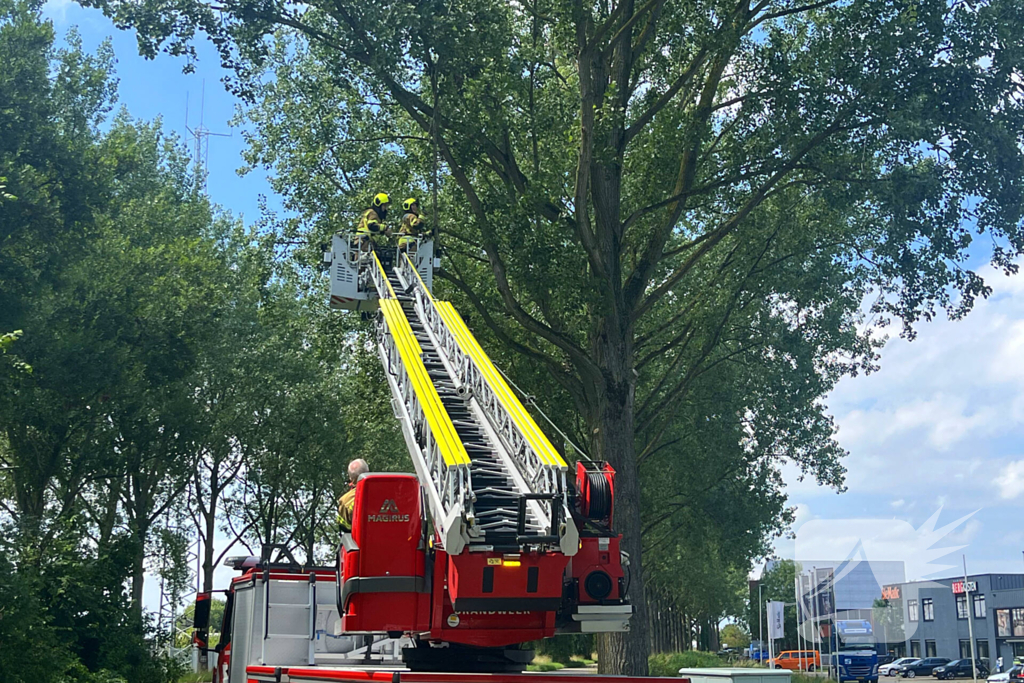 Brandweer verwijdert gevaarlijk hangende tak