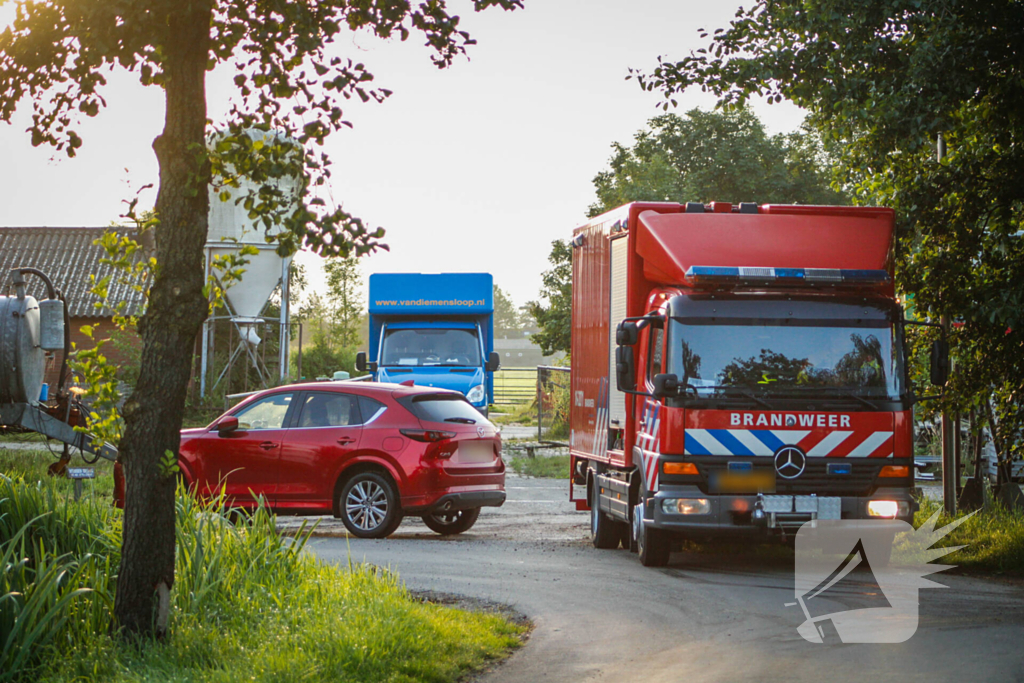 Brandweer is uren bezig met bevrijden koeien uit gierkelder