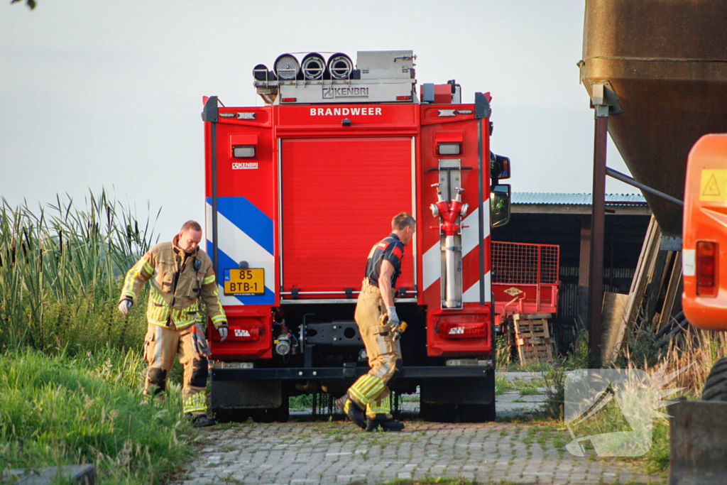 Brandweer is uren bezig met bevrijden koeien uit gierkelder