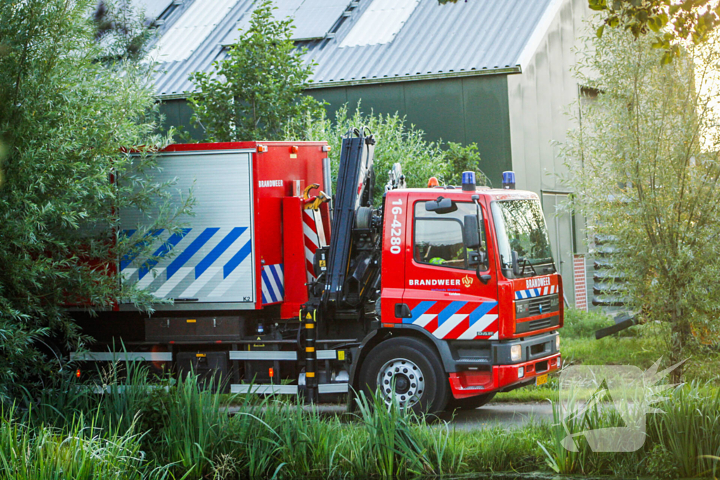 Brandweer is uren bezig met bevrijden koeien uit gierkelder