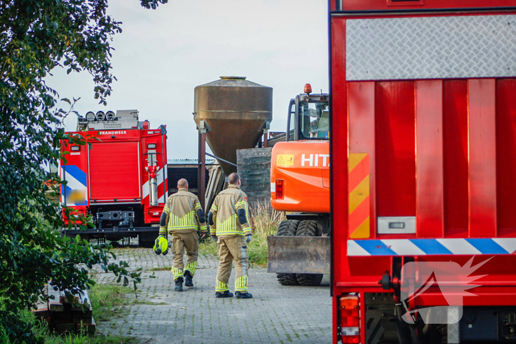 Brandweer is uren bezig met bevrijden koeien uit gierkelder