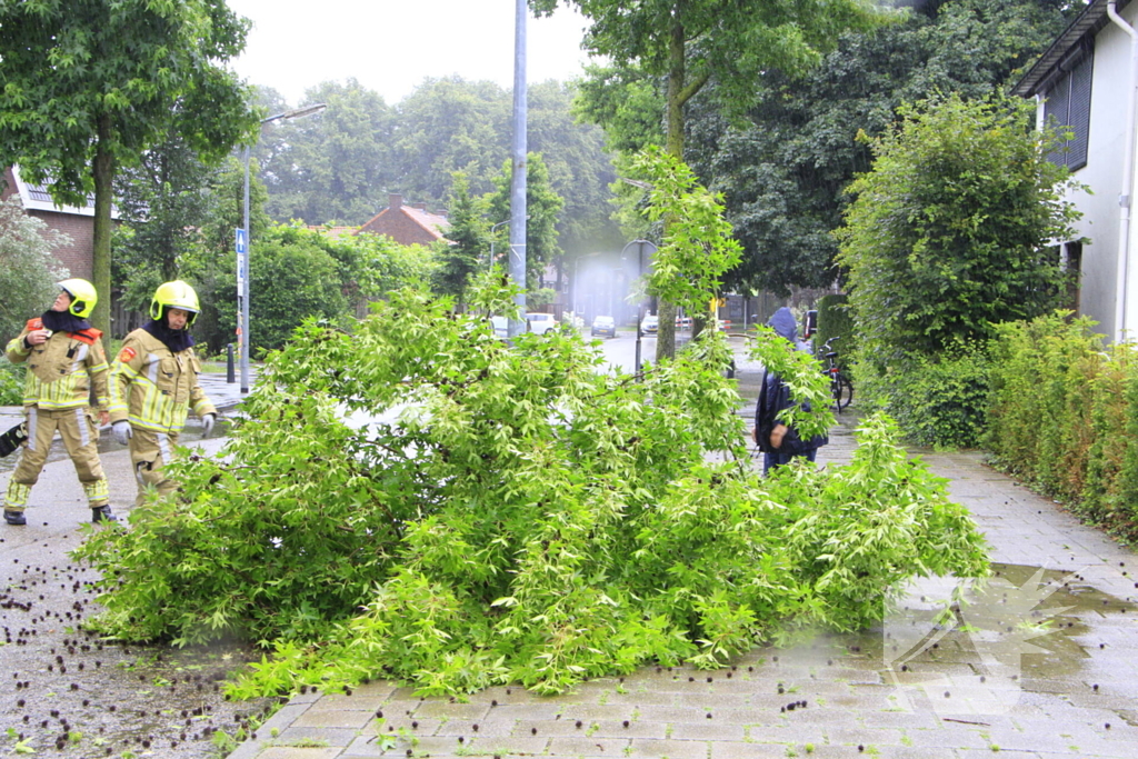 Grote tak valt bijna op voetgangers