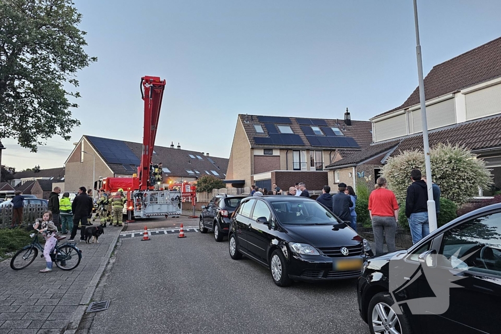 Buurt loopt uit voor vogel in schoorsteen