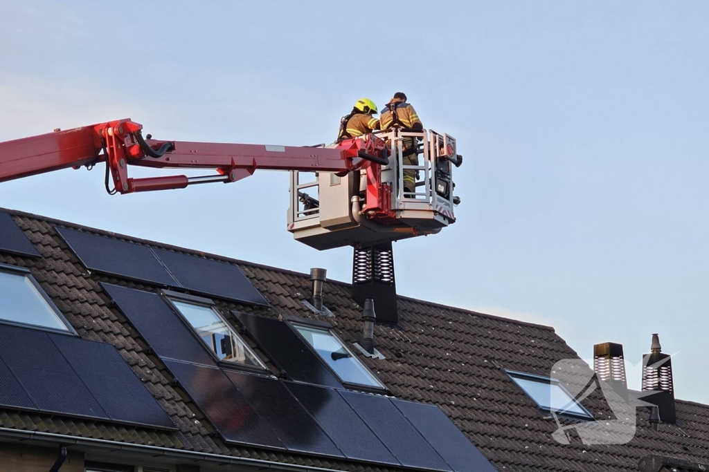 Buurt loopt uit voor vogel in schoorsteen