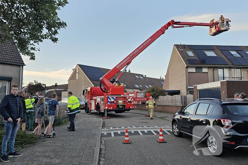 Buurt loopt uit voor vogel in schoorsteen