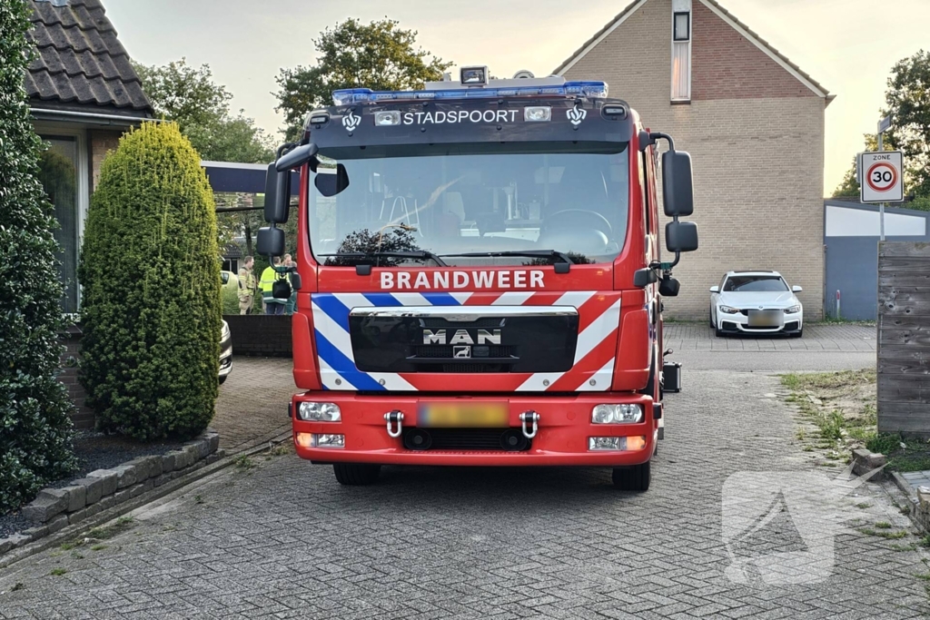 Buurt loopt uit voor vogel in schoorsteen