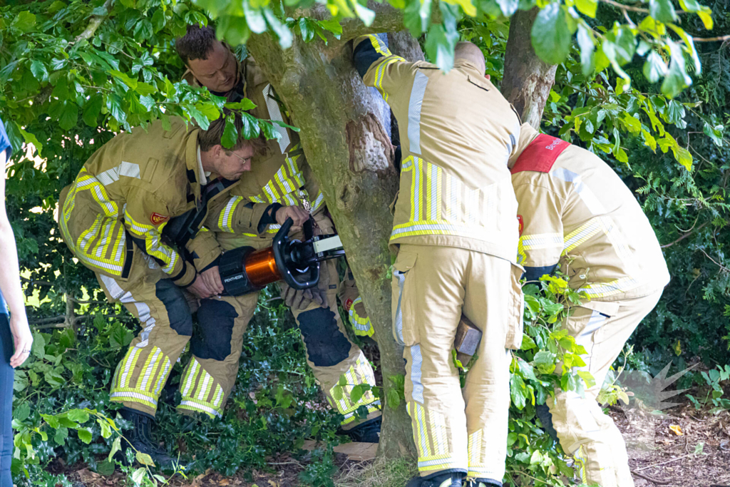 Brandweer bevrijdt vastzittend kind in boom