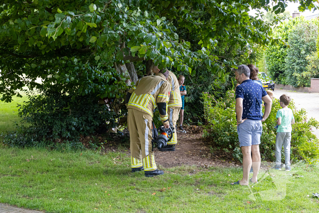 Brandweer bevrijdt vastzittend kind in boom