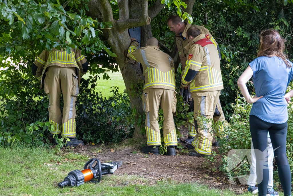 Brandweer bevrijdt vastzittend kind in boom