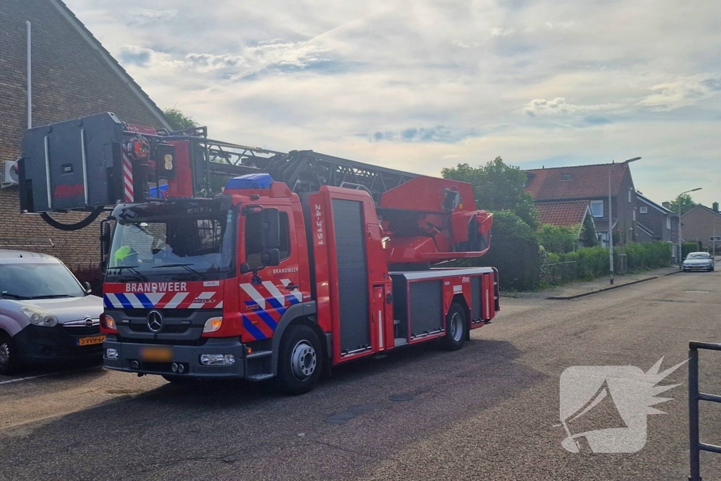 Brandweer redt jonge eekhoorntjes uit rolluik bak