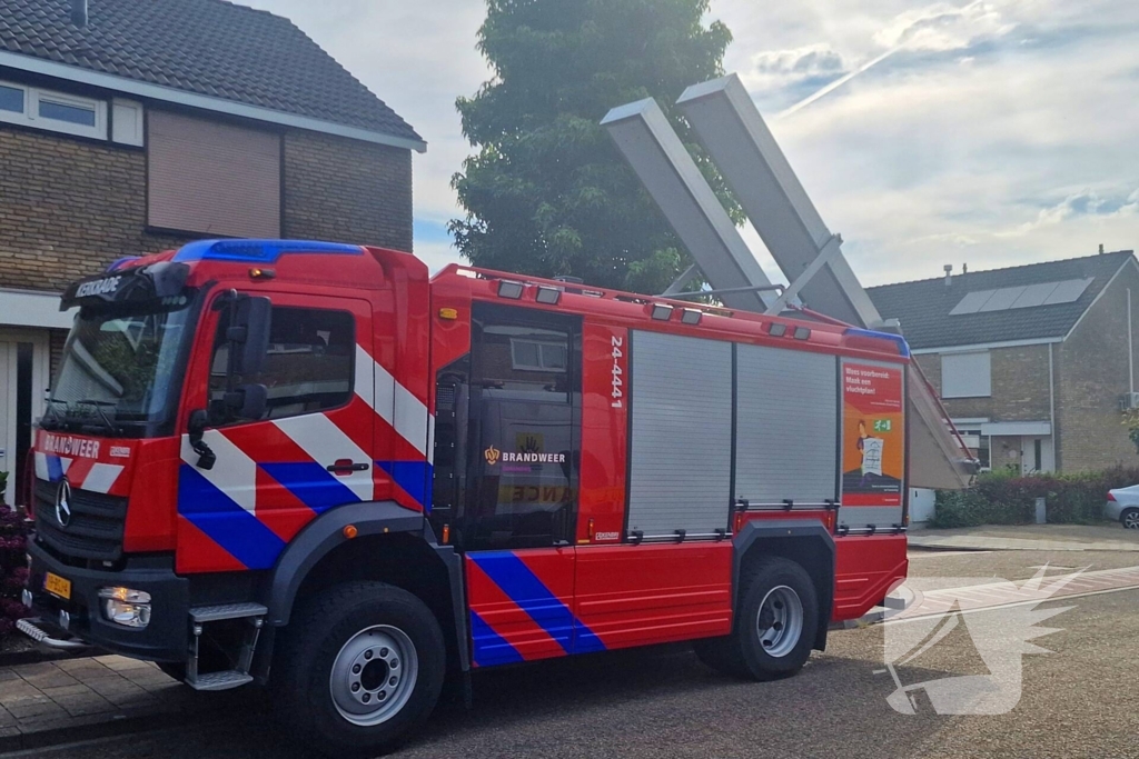 Brandweer redt jonge eekhoorntjes uit rolluik bak