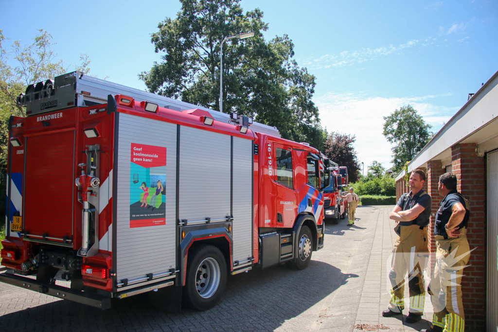 Brandweer redt poes uit boom