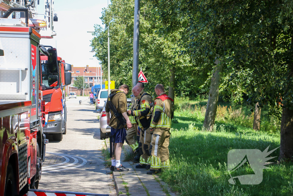 Brandweer redt poes uit boom