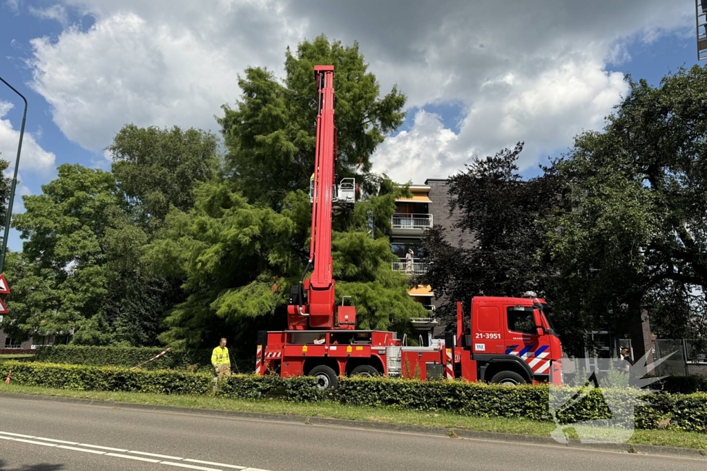 Brandweer sluit fietspad af vanwege gevaarlijk hangende takken