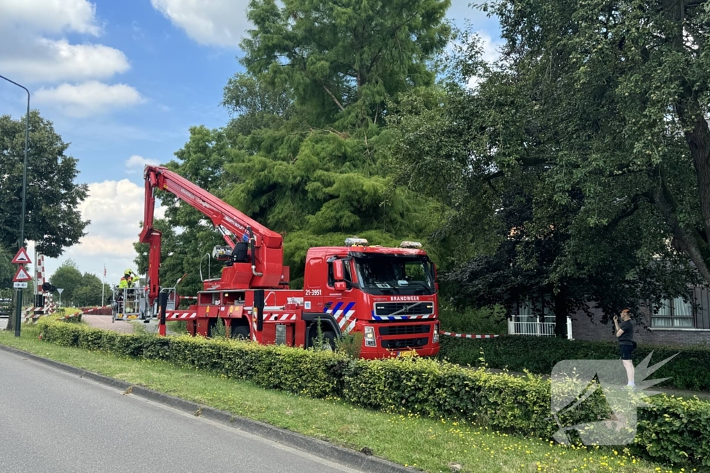 Brandweer sluit fietspad af vanwege gevaarlijk hangende takken