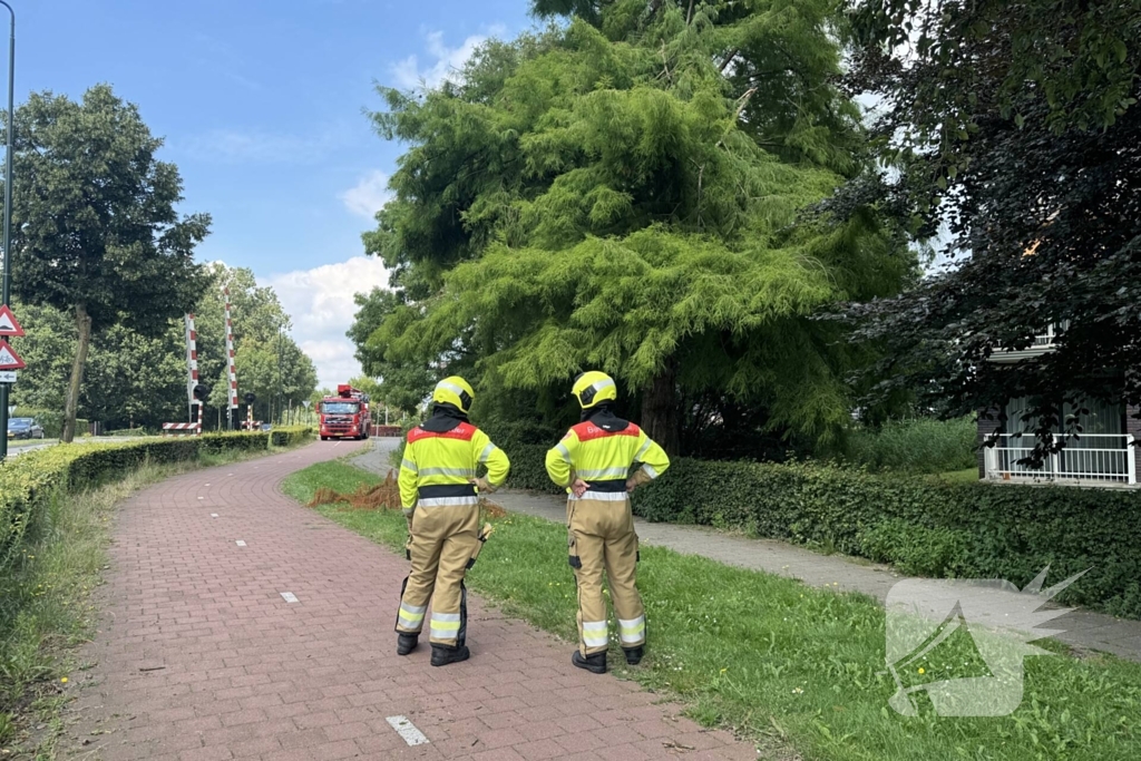 Brandweer sluit fietspad af vanwege gevaarlijk hangende takken