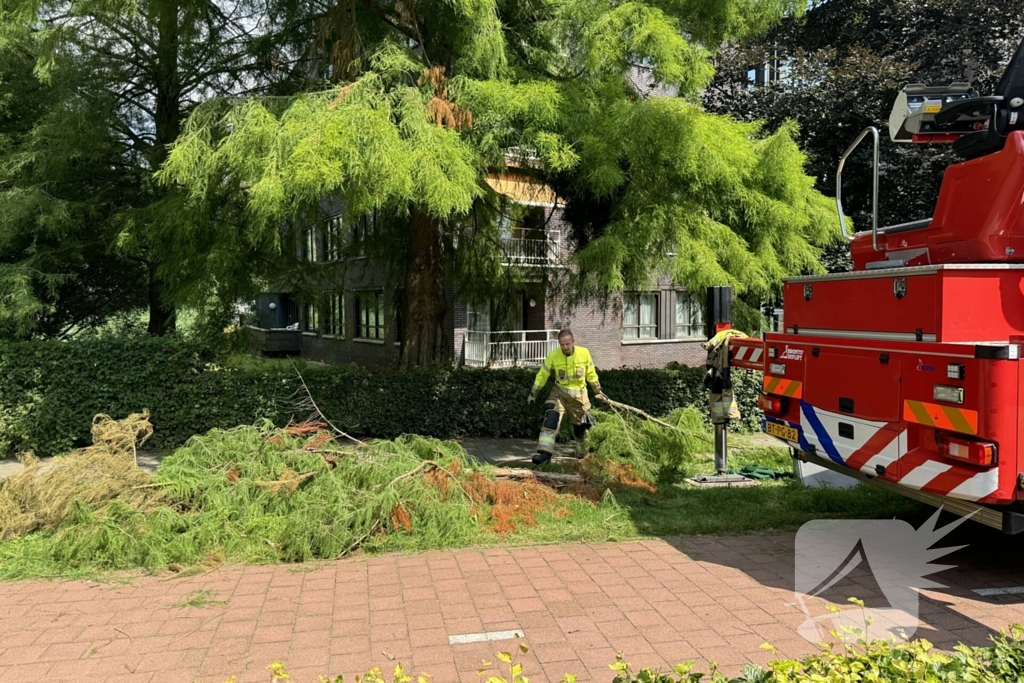 Brandweer sluit fietspad af vanwege gevaarlijk hangende takken