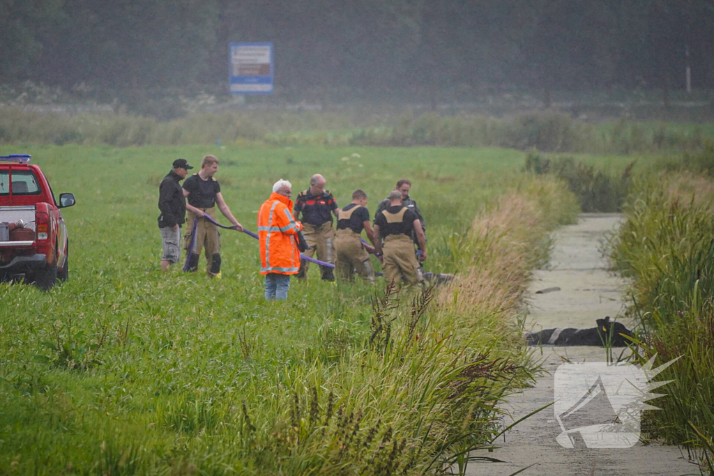 Twee koeien door brandweer uit sloot gered