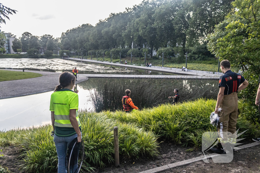 Verstrikte waterhoen laat zich niet vangen