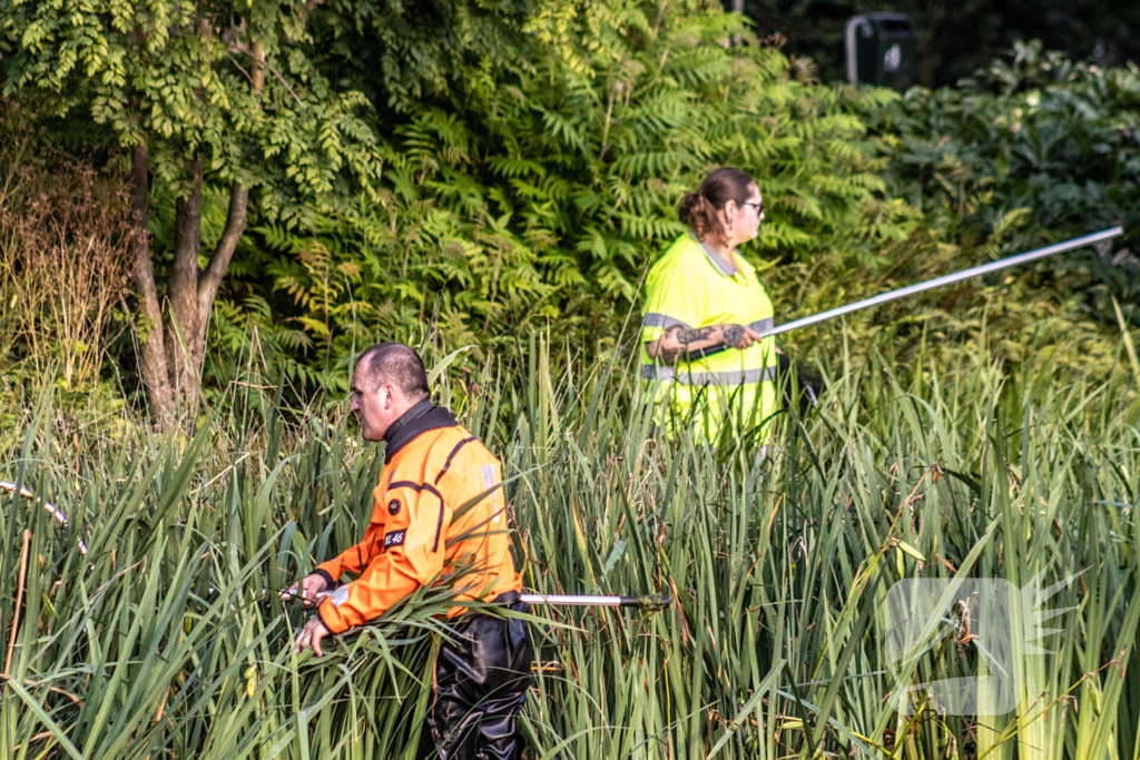 Verstrikte waterhoen laat zich niet vangen