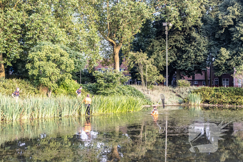 Verstrikte waterhoen laat zich niet vangen