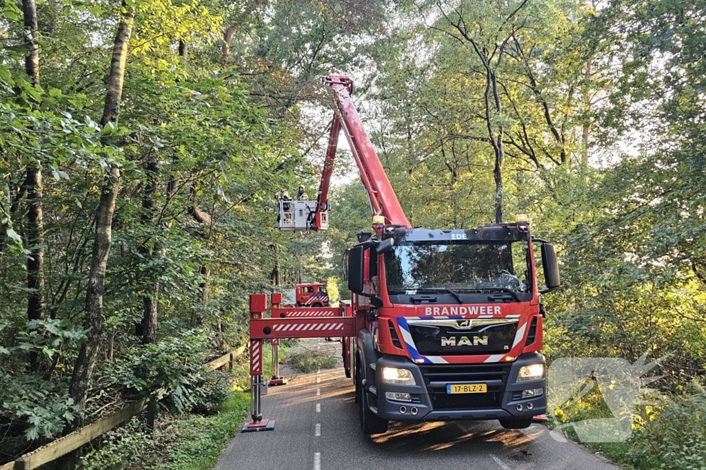 Boom belandt op drukke toegangsweg