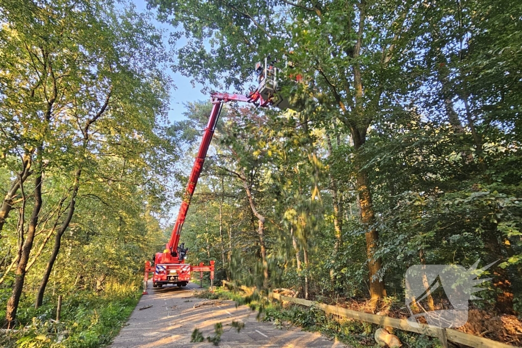 Boom belandt op drukke toegangsweg