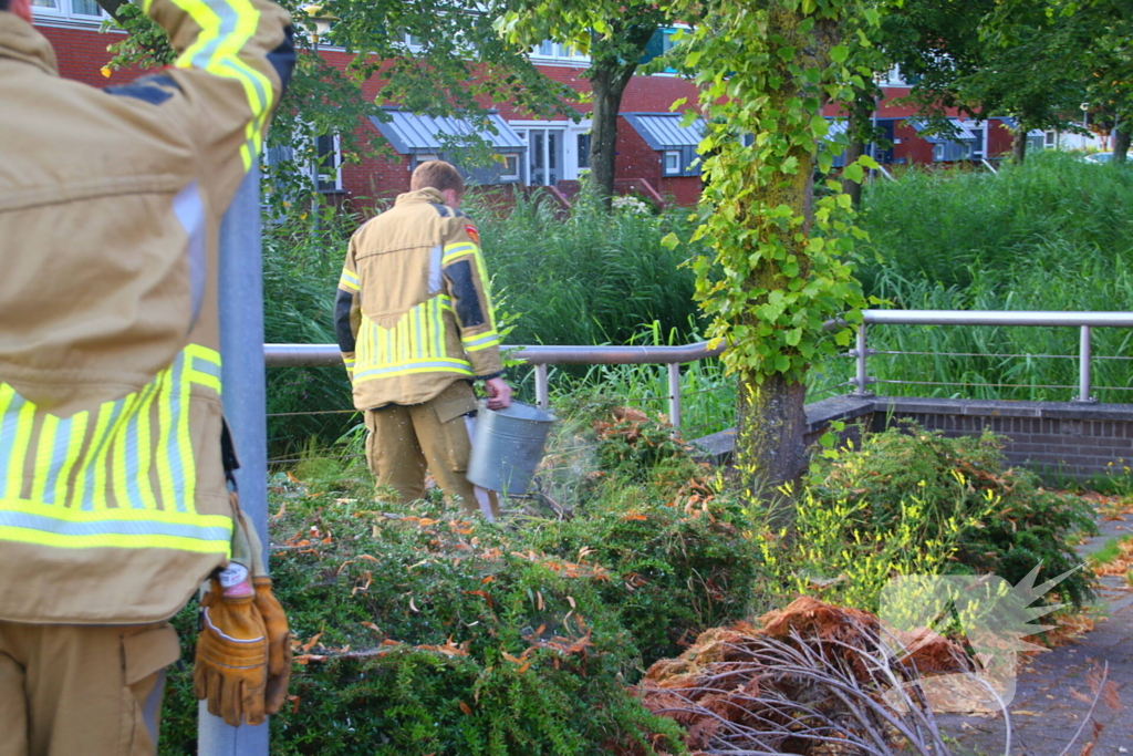 Brandweer dooft buitenbrand met emmer water