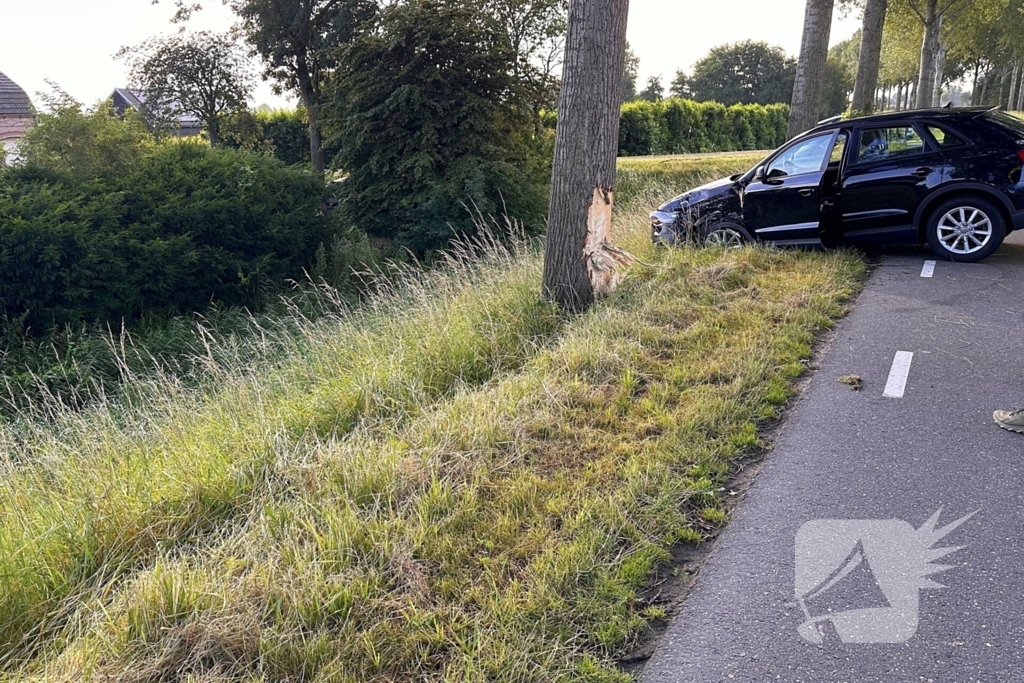 Bestuurder valt in slaap en botst tegen boom