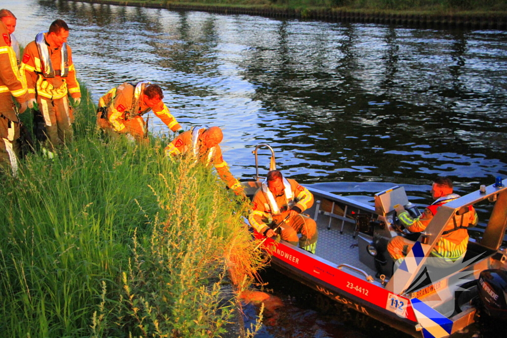 Brandweer haalt overleden ree uit het water