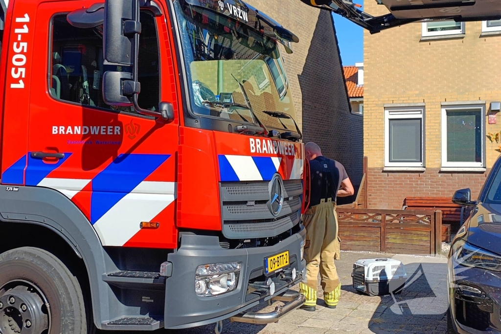 Brandweer haalt kat van dak