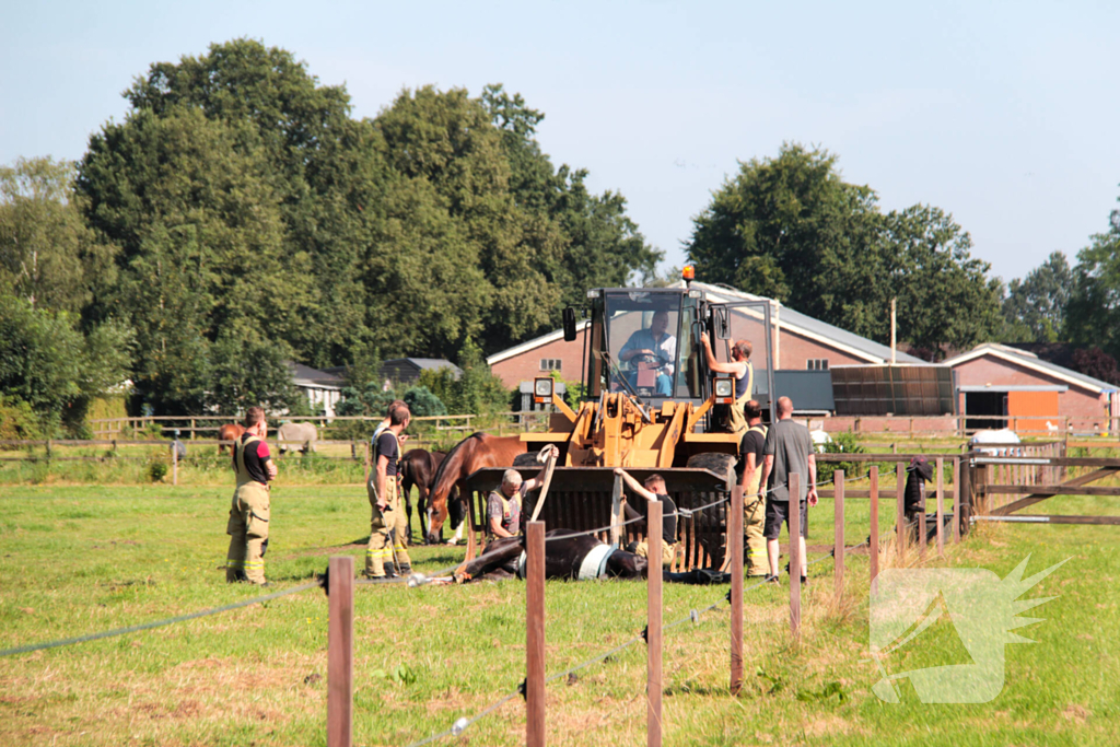 Brandweer schiet paard in problemen te hulp