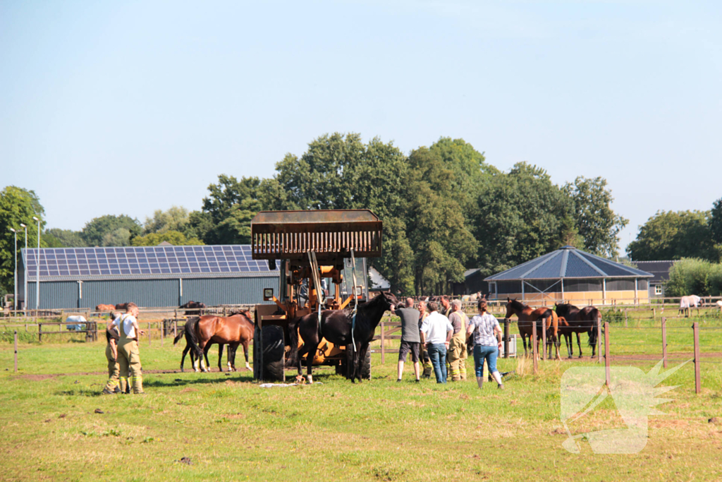 Brandweer schiet paard in problemen te hulp