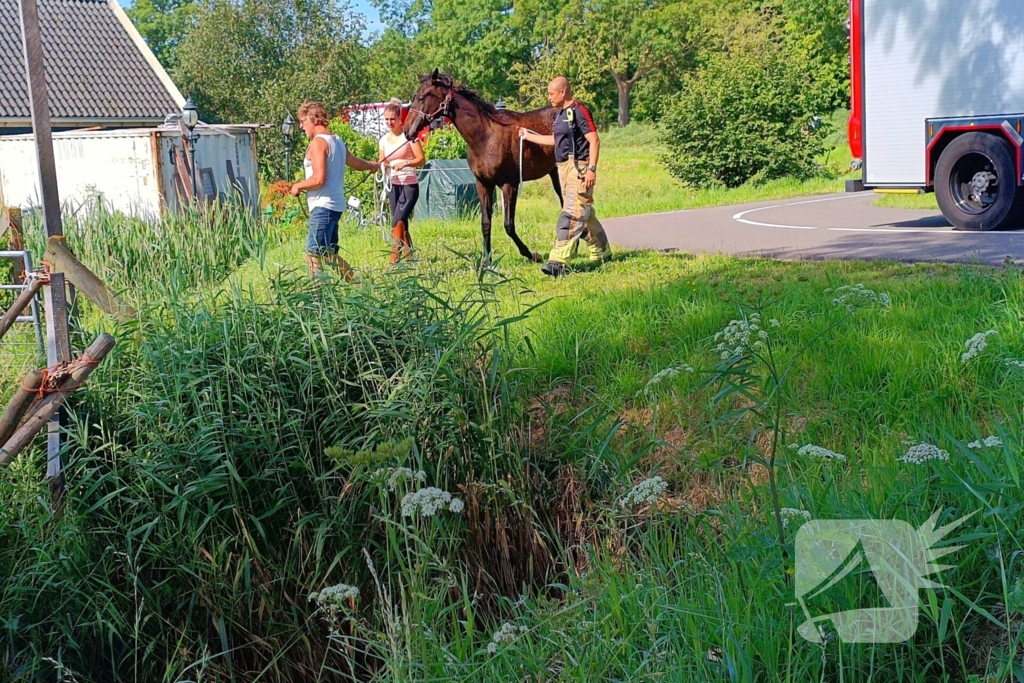 Brandweer ingezet voor paard in sloot