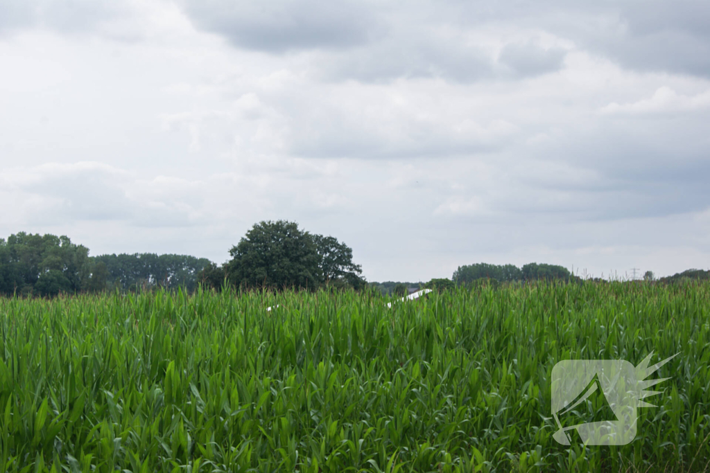 Lesvliegtuig landt in maisveld