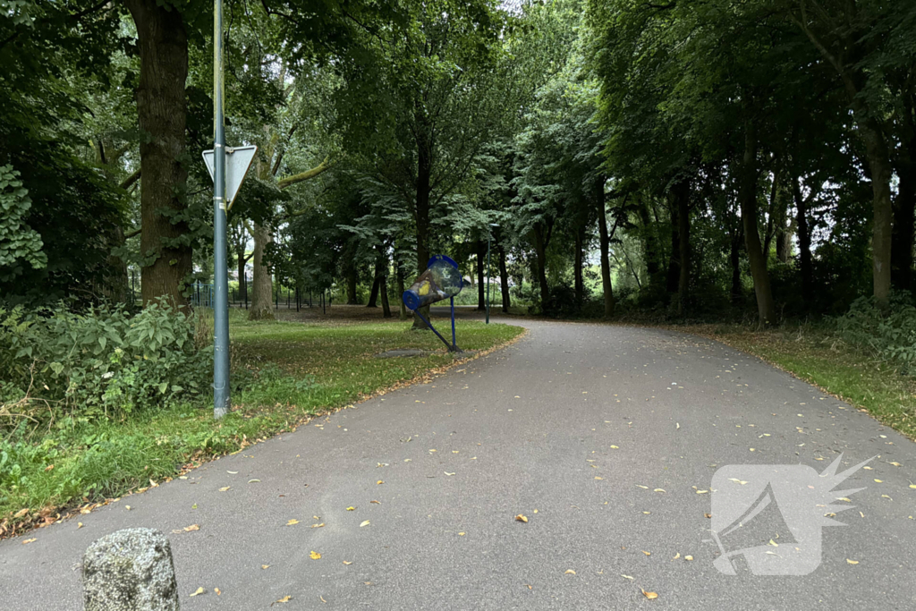 Politie zoekt getuigen na verkrachting in park