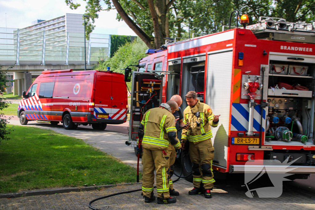 Brandweer blust brand in bosjes